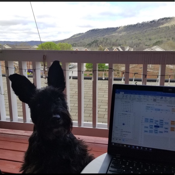 Meet your Posher, Uneva - Picture 3 of 3